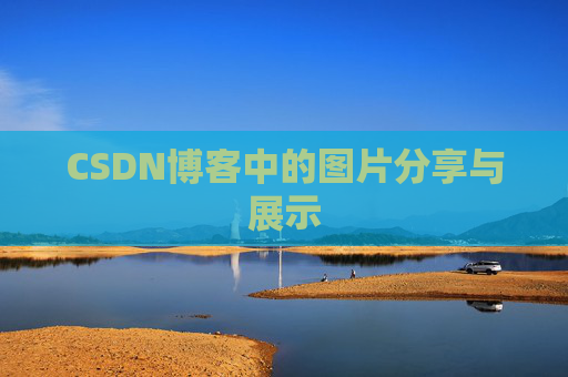 CSDN博客中的图片分享与展示